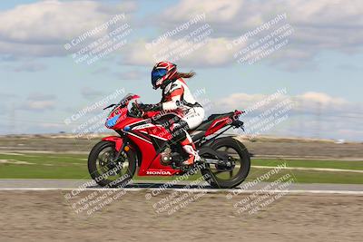 media/Feb-10-2024-TrackDaz (Sat) [[d83b097a69]]/C Group/1240pm (Wheelie Bump)/